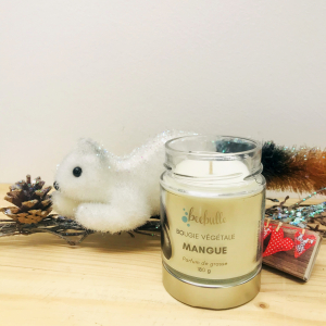 Bougie végétale mangue