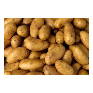 Pomme de terre charlotte