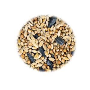 Graines pour boules de graisse oiseaux