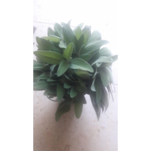 Sauge bouquet 300g