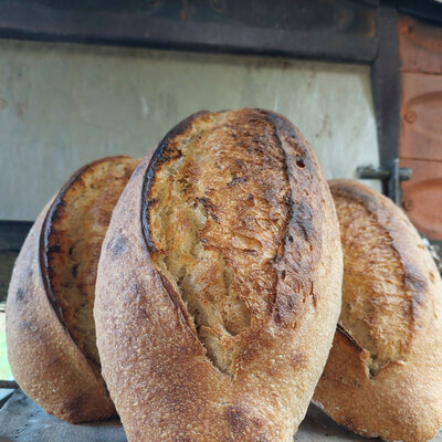 Pain de meule