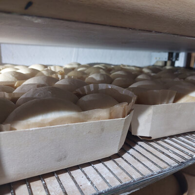 Brioche traditionnel