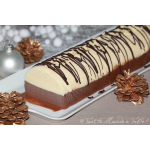 Bûche glacée découverte (6 parts)