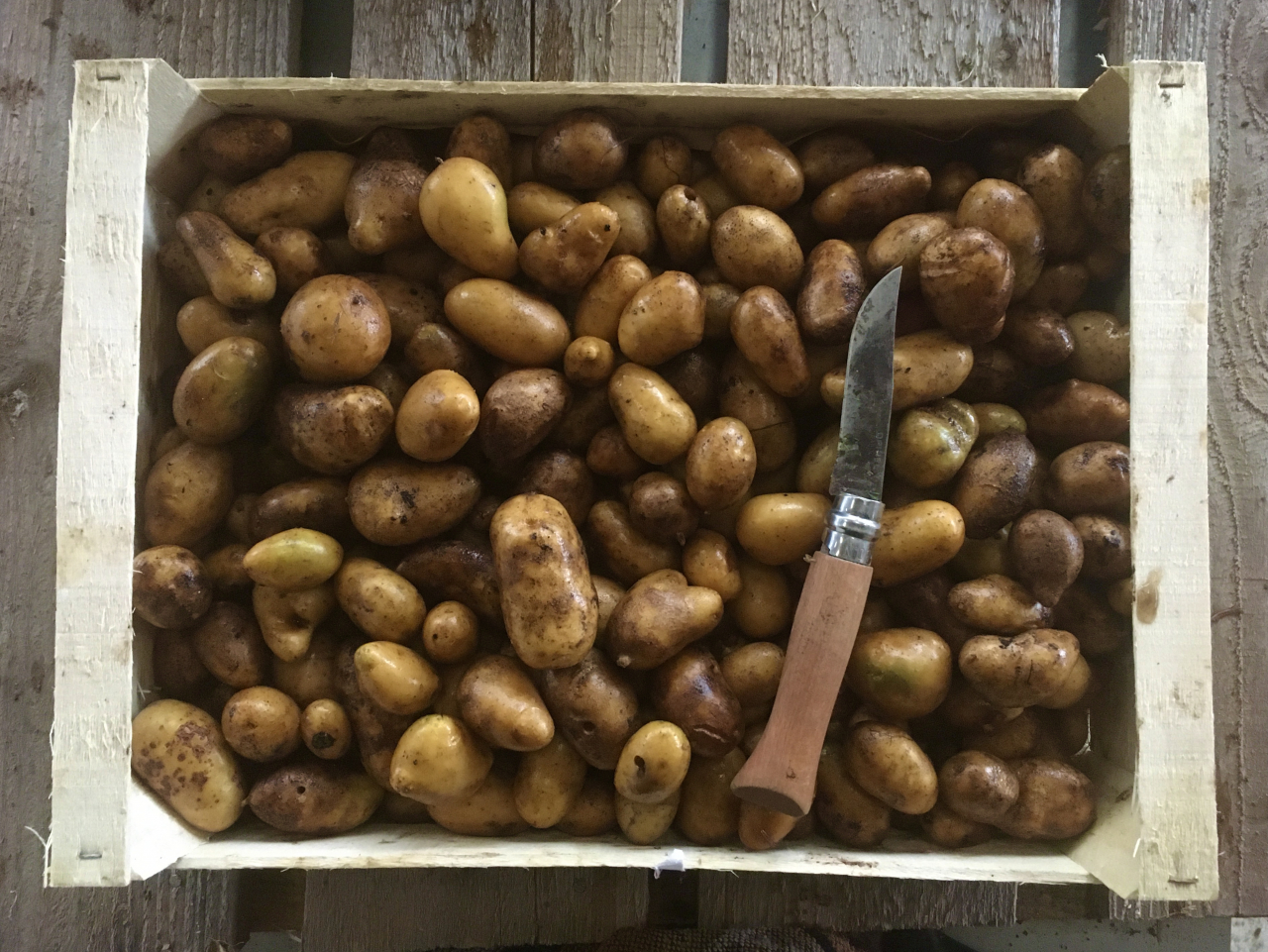 Quel Accompagnement Avec Des Pommes De Terre Grenaille