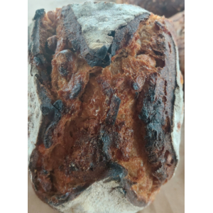 Citron noisette gingembre