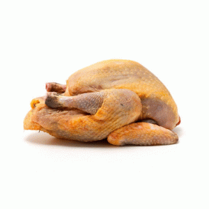 Pintade entiere découpée sur os