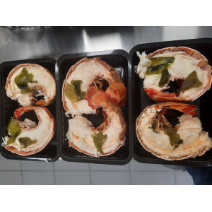 Queues de langouste de cuba