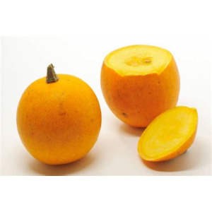 Courge pomme d'or