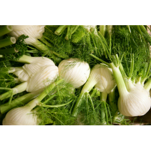 Fenouil bio