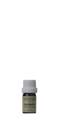 Huile essentielle d'agastache