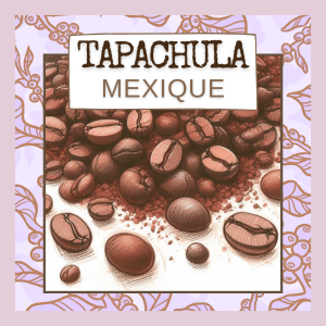 Café 'tapachula' mexique 250g, grains