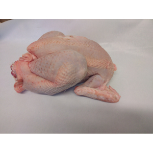 Gros poulet entier fermier