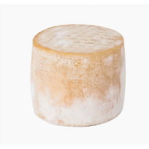 Brebis tomette d'echourgnac