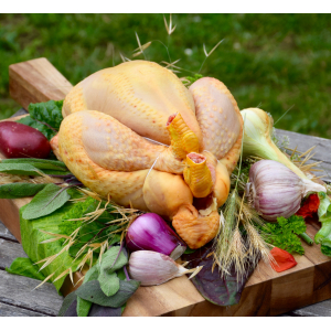Poulet bio moyen en morceaux ferme orée milly