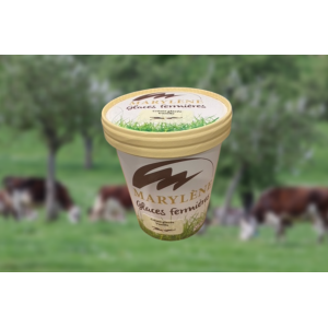 Crème glacée vanille