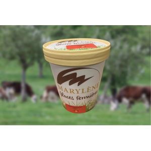 Sorbet fraise 'plein fruit'