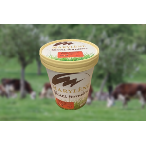 Sorbet pomme  'plein fruit'