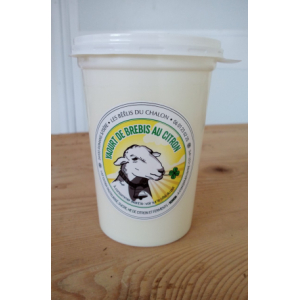 Yaourt de brebis au citron
