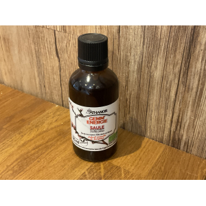 Gemmothérapie saule