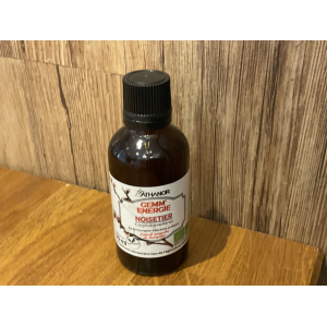 Gemmothérapie noisetier