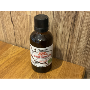 Gemmothérapie érable champêtre