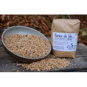 Farine de blé-5kg