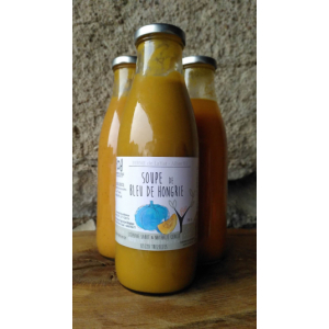 Soupe de courge bleu de hongrie