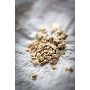 Lot de 5 sachets de graine de tomate cerise