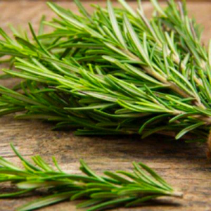 Bouquet de romarin