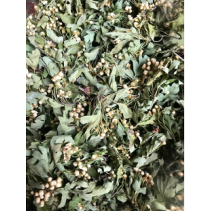 Tisane simple aubépine