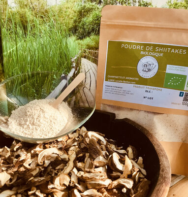 Poudre de shiitakes booster votre sante