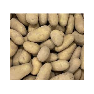 Pomme de terre allians