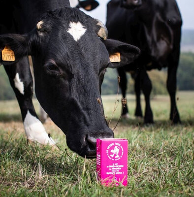 Lait uht demi-écrémé, la brique rose