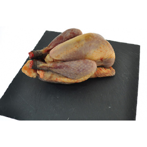 Pintade de ferme 2 à 2.2 kg