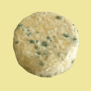 Demi-affiné : rond (nature ou cendré)