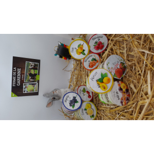 Yaourt aux fruits mangue