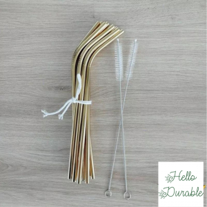 5 pailles inox +goupillon doré