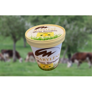 Sorbet citron 'plein fruit'