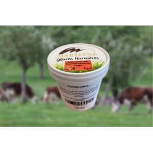 Sorbet pomme  'plein fruit' petit pot