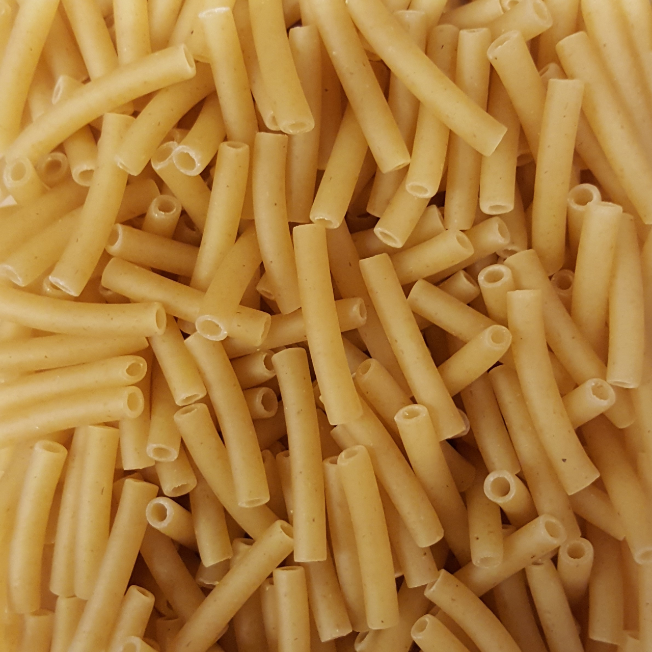 Pâtes macaroni sans gluten 250 g - Pâte alimentaire