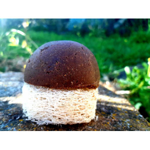 Shampoing solide végétal cheveux blond-blanc