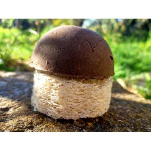 Shampoing solide végétal cheveux mixtes øhe