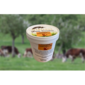 Crème glacée caramel petit pot