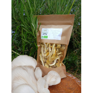 Pleurotes gris secs bio