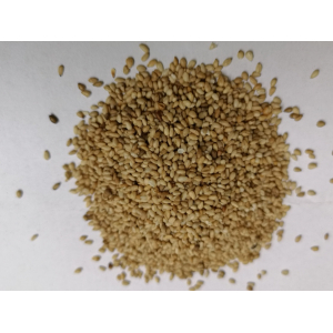 Sésame complet graines toastées