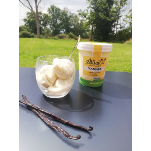 Crème glacée vanille