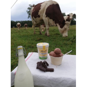 Crème glacée chocolat