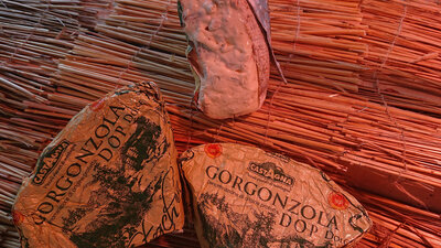 Gorgonzola a.o.p.