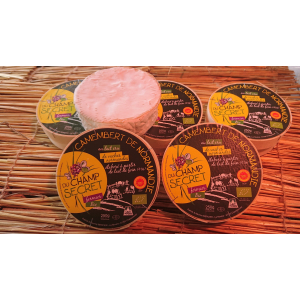Camembert de normandie