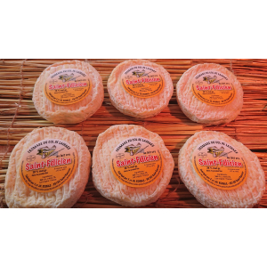 St félicien au lait cru